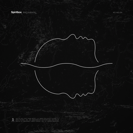 Spiritbox : Perfect Soul